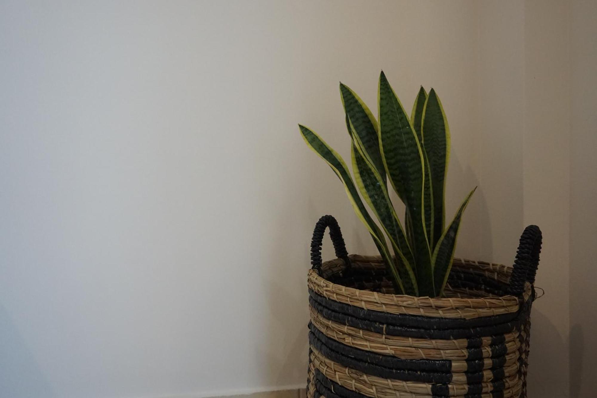 Olea Apartment Igoumenitsa