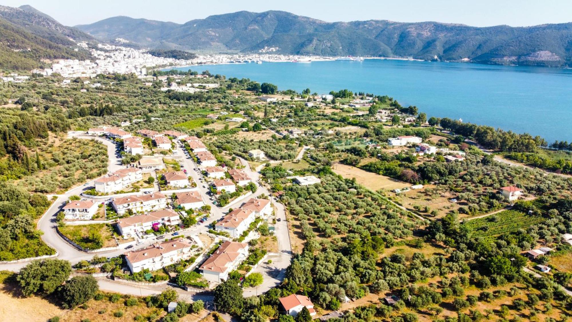 Olea * Igoumenitsa